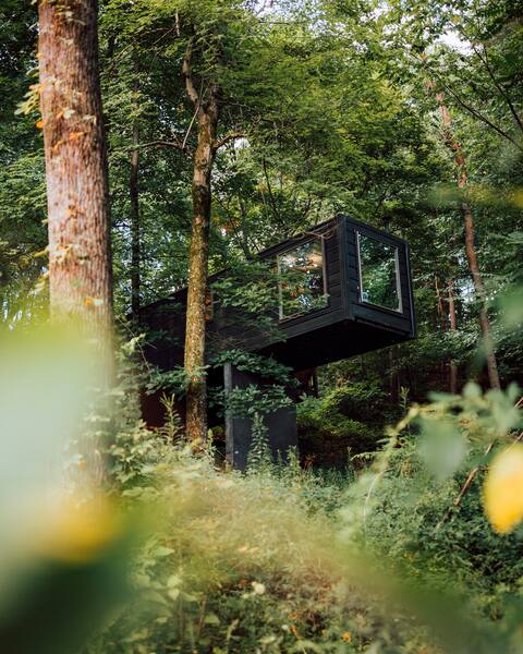 Treehouse Village - The Box