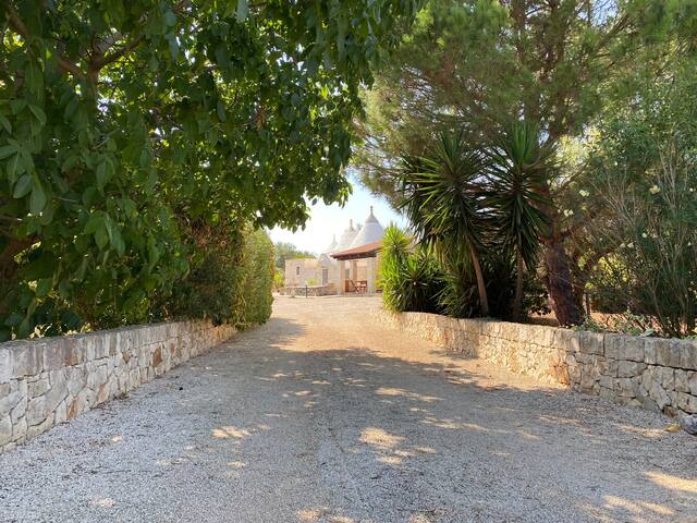 Trullo Carlotta- trullo and private pool, 7 beds gallery image 4