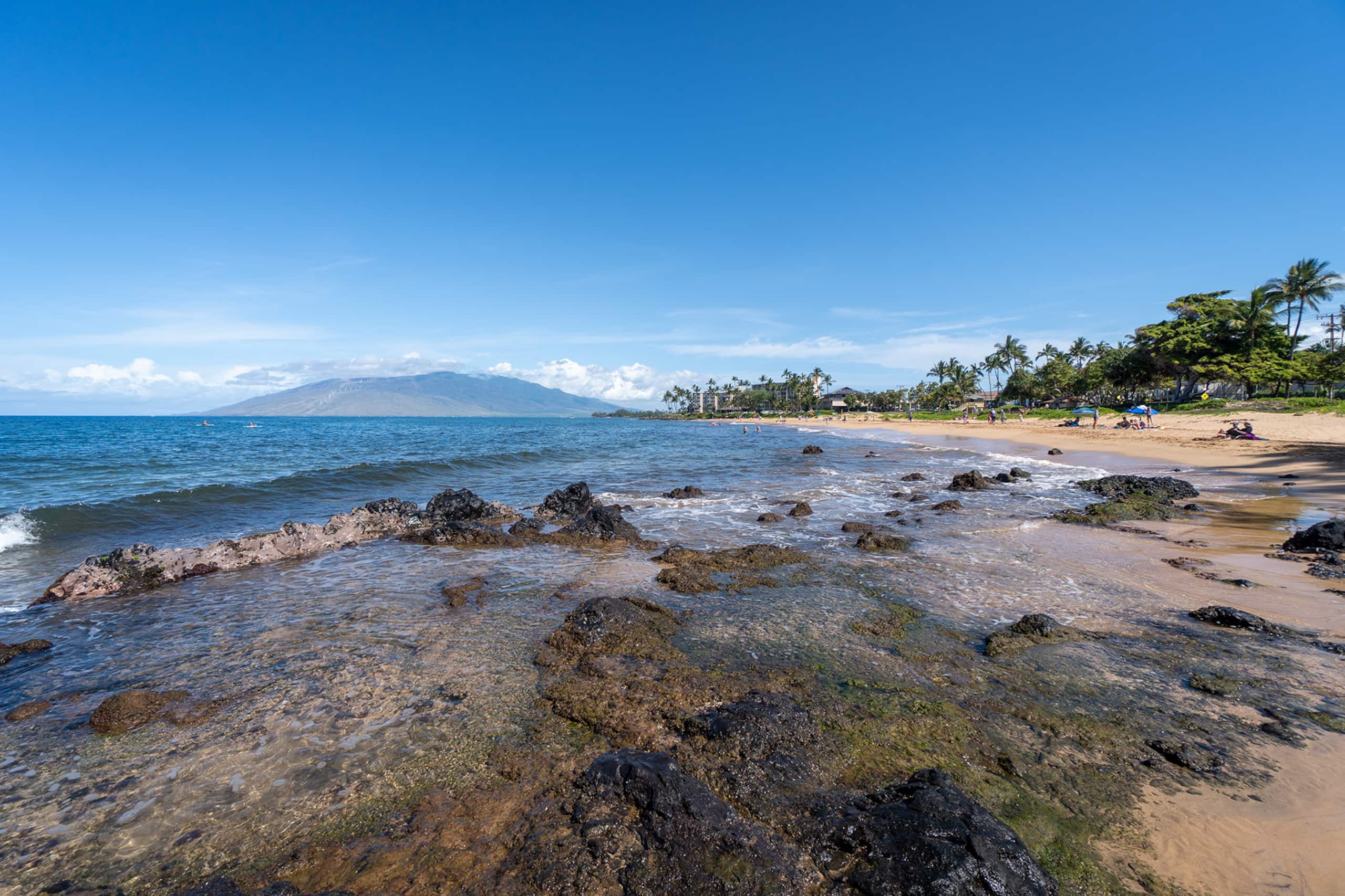 Condo in Kihei · ★4.79 · 1 bedroom · 2 beds · 1 private bath - Image 11