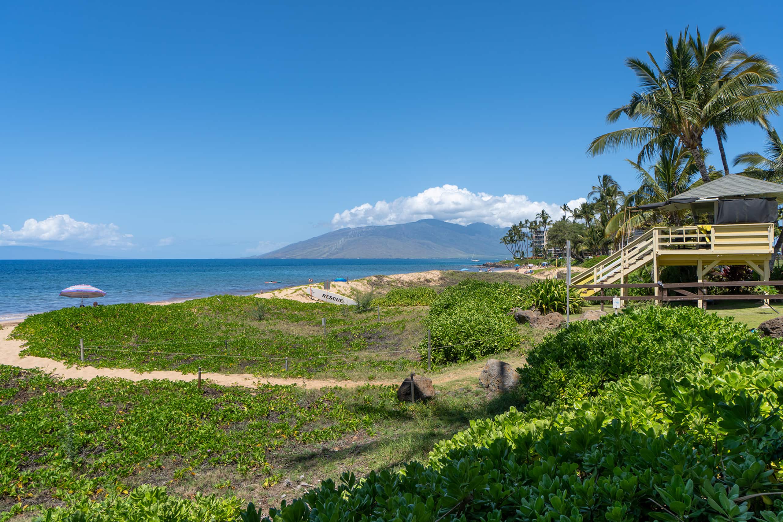 Condo in Kihei · ★4.79 · 1 bedroom · 2 beds · 1 private bath - Image 13