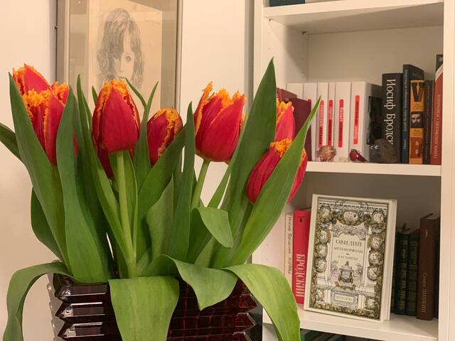 Family friendly luxury in the heart of the city gallery image 5