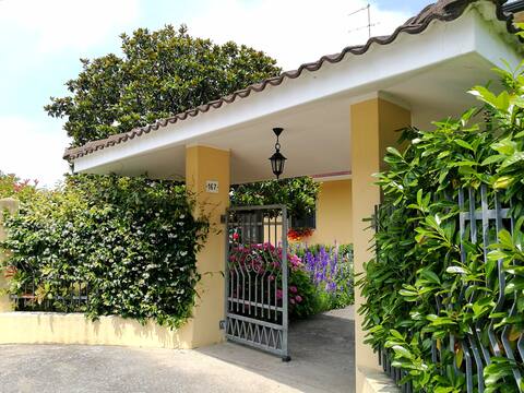 Airbnb con migliori performance: (P)Ca’ Palmira, Venice & beach, new! a Cavallino Treporti