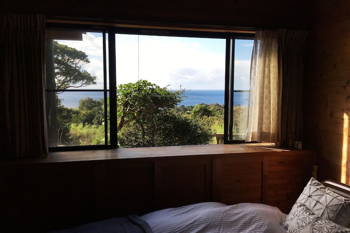 You can see the sea from the bed and the starry sky at night.

You can see the ocean and the sky-fished stars at night from the bed.