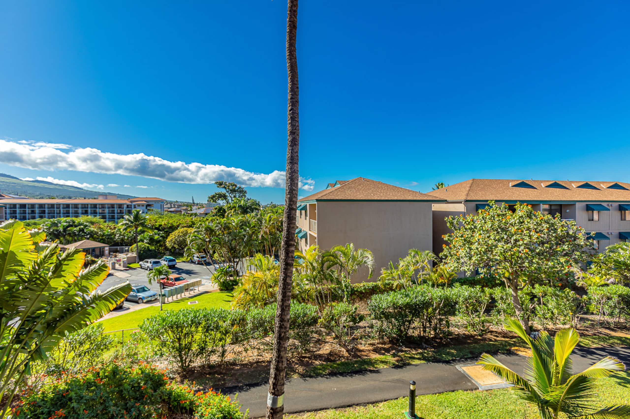 Condo in Kihei · ★4.84 · 1 bedroom · 2 beds · 1 bath - Image 22