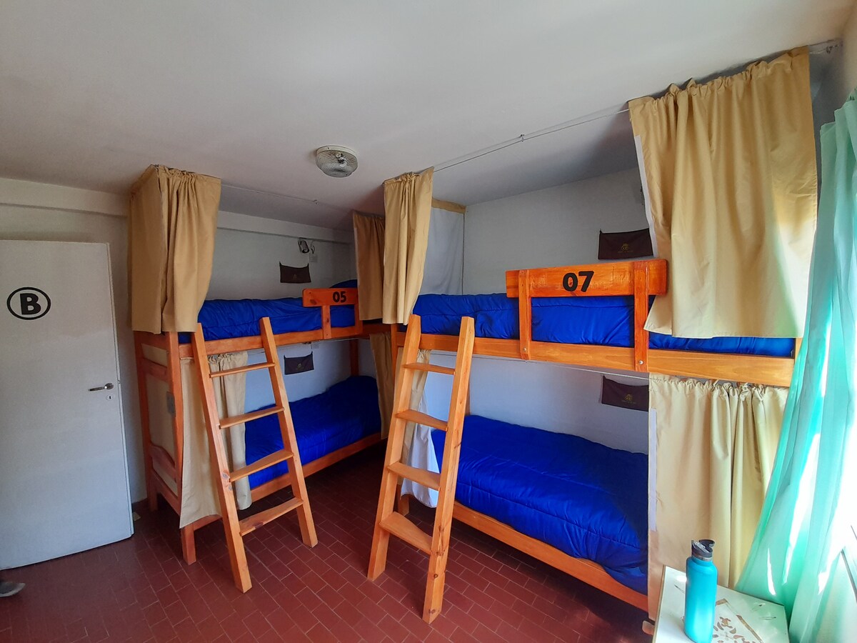 A shared mixed dormitory room features two sets of wooden bunk beds, each with blue bedding and privacy curtains. The room is well-lit, showcasing a tidy layout with a window allowing natural light, and a door marked with a letter for easy identification.