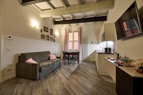 Top Airbnb: The Long Tower_150 meters from the Two Towers a Bologna