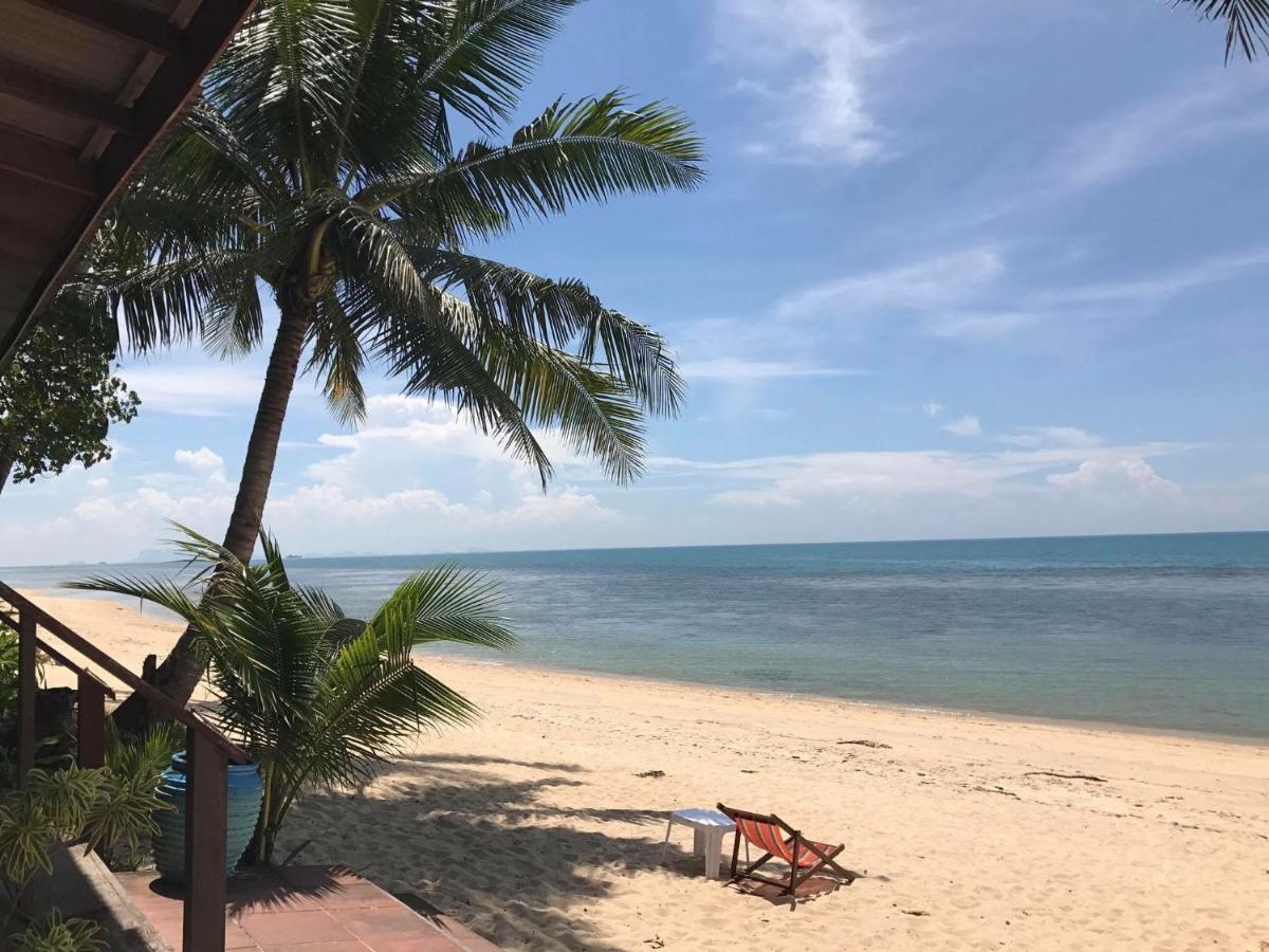 The beach scene features soft, white sand stretching along a calm shoreline. A lone lounge chair sits near the water's edge, while lush palm trees provide shade. The tranquil ocean extends into the horizon, showcasing gentle waves and clear blue skies.
