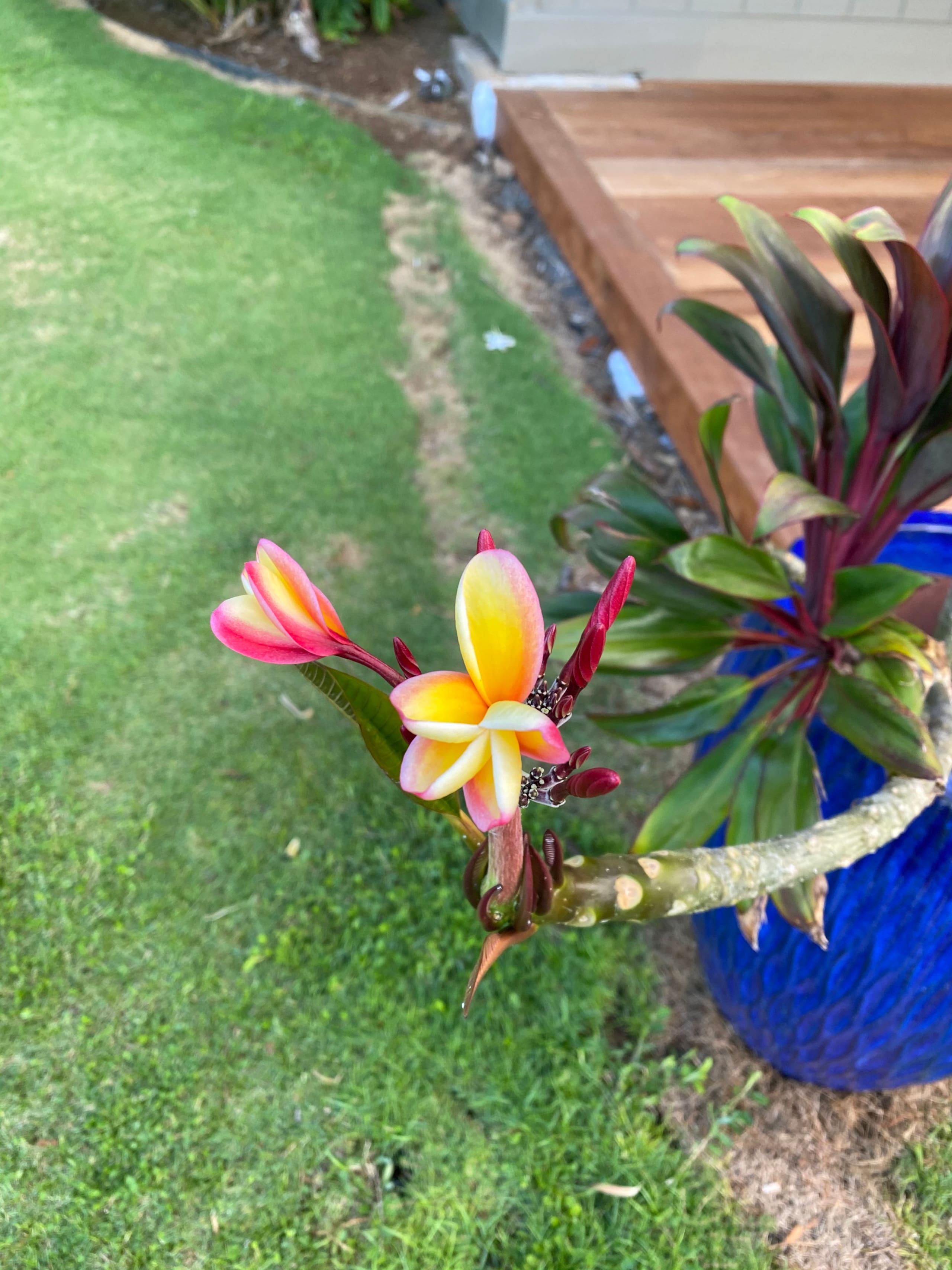 Home in Koloa · ★4.93 · 3 bedrooms · 4 beds · 2.5 baths - Image 11