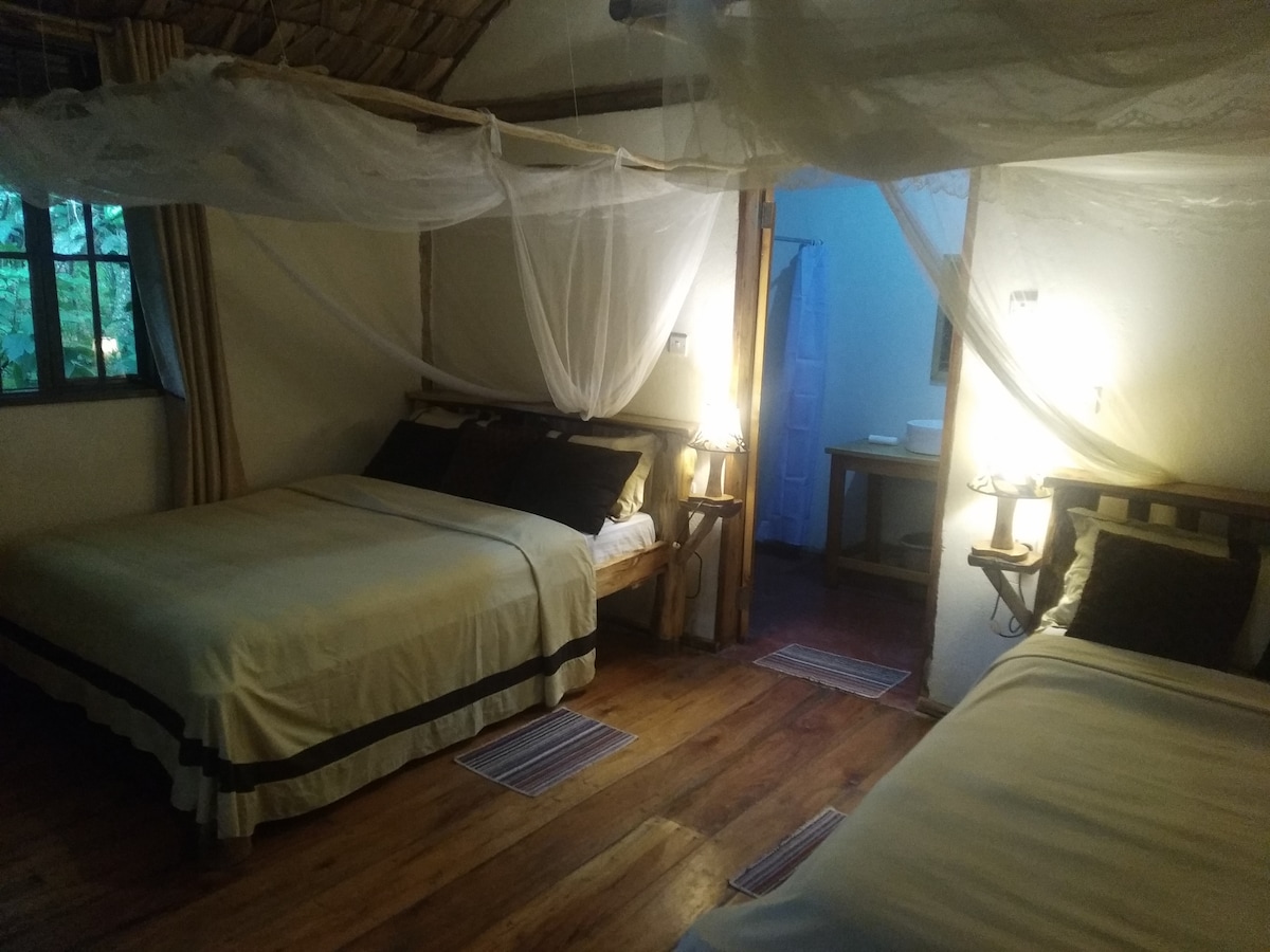 The spacious room features two beds draped with mosquito nets, providing a comfortable sleeping arrangement. Soft lighting from bedside lamps enhances the serene atmosphere, while wooden floors and rustic furnishings complement the natural setting visible through the window.