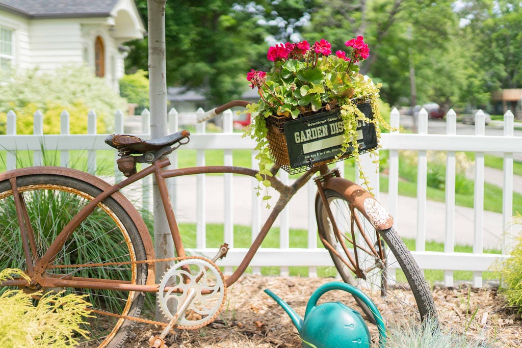 A vintage bicycle with a rusted finish is set against a white picket fence, adorned with bright pink geraniums and green foliage in a basket. A green watering can rests on the ground nearby, highlighting the charming garden setting.