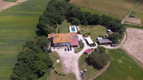 Le Baccane - Larciano - Apartment Castagno