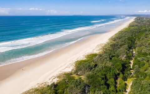 Kookaburras at South Golden. Walk to lovely beach