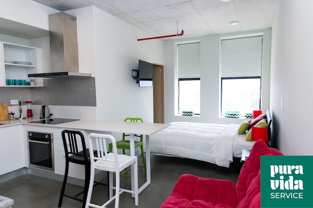 An open studio apartment is displayed, featuring a well-equipped kitchen with modern appliances and a dining table. A spacious bed is positioned near large windows, framed by simple green curtains. A red sofa adds a splash of color to the neutral-toned environment.