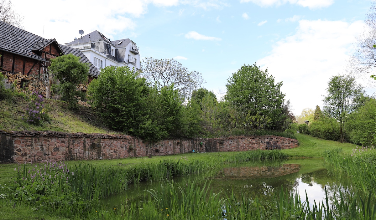 A serene garden area is depicted, featuring a calm pond surrounded by lush greenery and trees. A stone wall runs along the edge, complementing the natural landscape and providing a tranquil retreat. The villa structure is visible in the background under a clear blue sky.