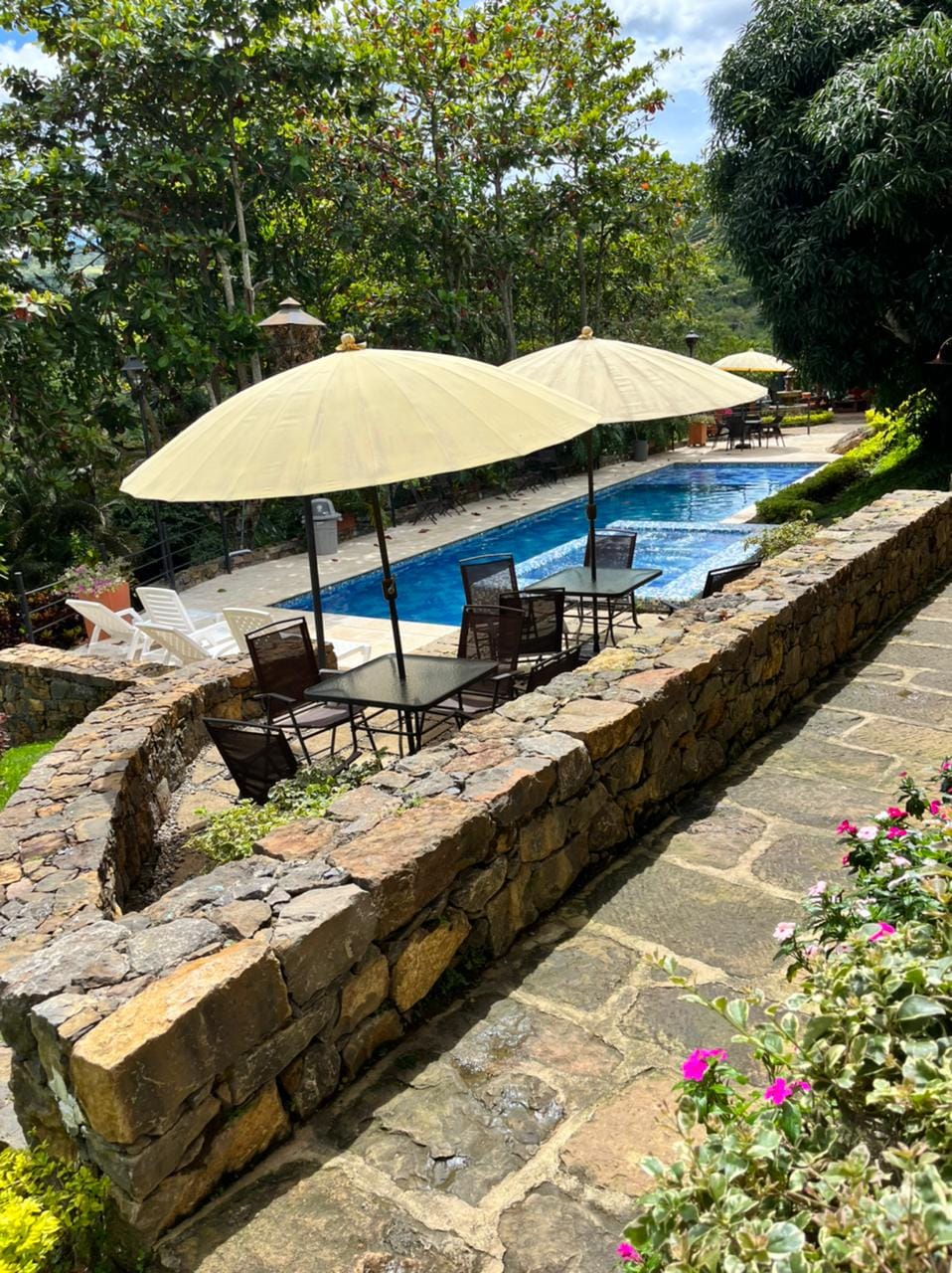 A stone pathway leads to a serene pool area, featuring several lounge chairs and large umbrellas for shade. Lush greenery surrounds the space, creating a tranquil environment. The blue water of the pool glistens under the sunlight, inviting relaxation.