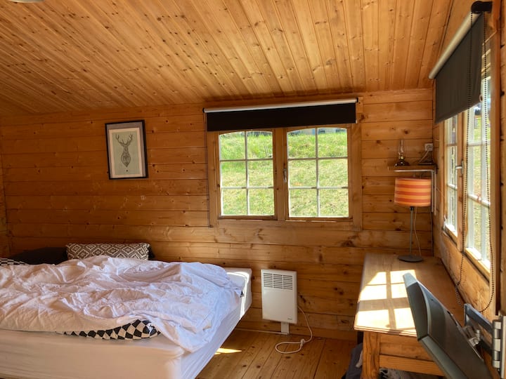 Habitación 1