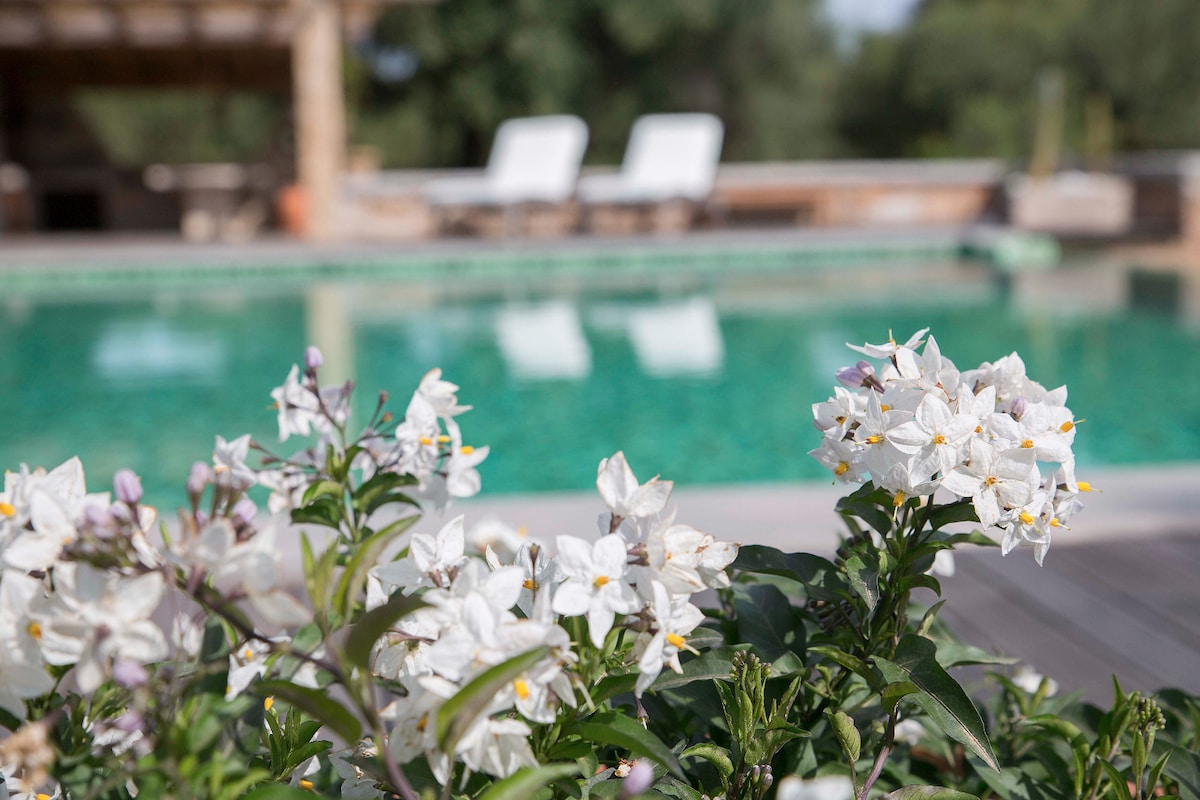 A vibrant garden with blooming white flowers is in the foreground, enhancing the serene pool area. The pool features a clear, inviting surface, reflecting the surrounding landscape. In the background, two lounge chairs are positioned near the pool, creating an inviting space for relaxation.
