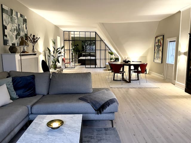 Spacious penthouse apartment w. central location