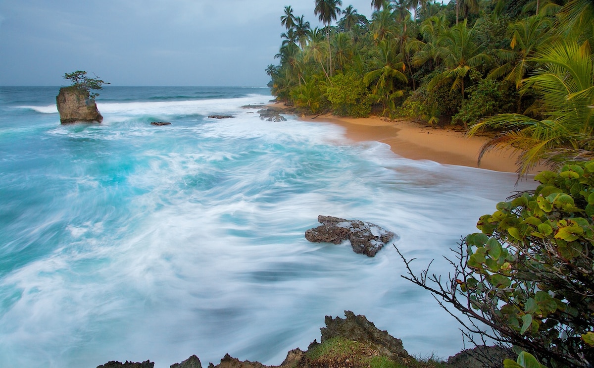 A serene beach scene features soft, rolling waves lapping at a sandy shore lined with vibrant green palm trees. A solitary rock formation juts out into the ocean, framed by lush vegetation, creating a tranquil atmosphere.