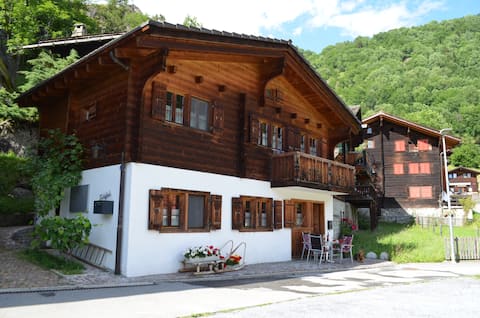 Charming apartment in the chalet "Tunegädi" Valais