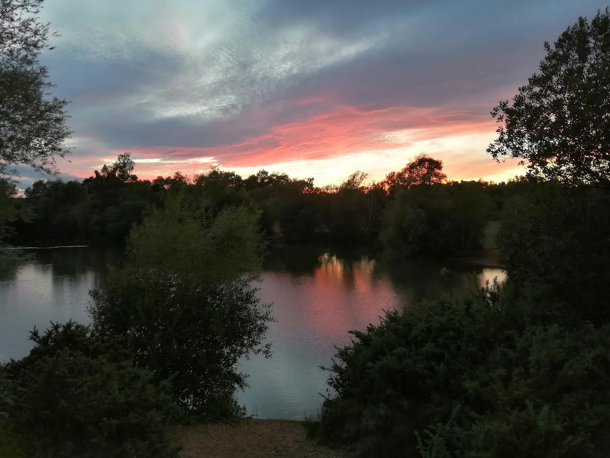 A serene lake is framed by lush greenery under a colorful sunset. Silhouettes of trees and bushes reflect gently on the water's surface, creating a peaceful atmosphere. Soft hues of pink and orange streak across the sky, enhancing the natural beauty of the setting.