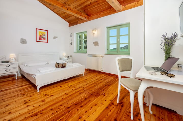 Dhomë gjumi dopio flutur me krevat dopio "Queen", tavolinë biznesi, televizor satelitor, ajër të kondicionuar, banjë dhe pamje.