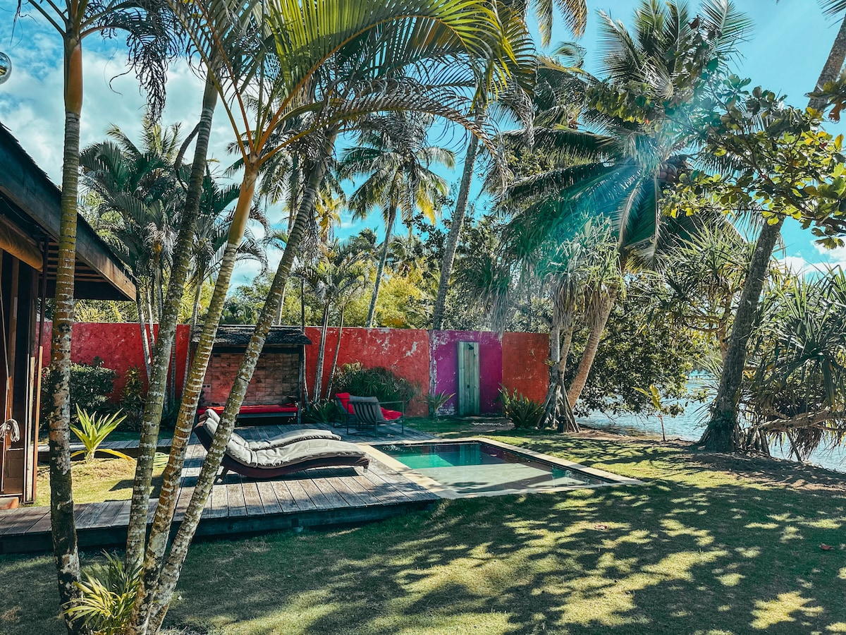 The outdoor area features a wooden deck with lounge chairs beside a small swimming pool. Lush greenery surrounds the space, including tall palm trees and colorful plants. A vibrant red wall provides a privacy backdrop while natural light filters through the leaves.