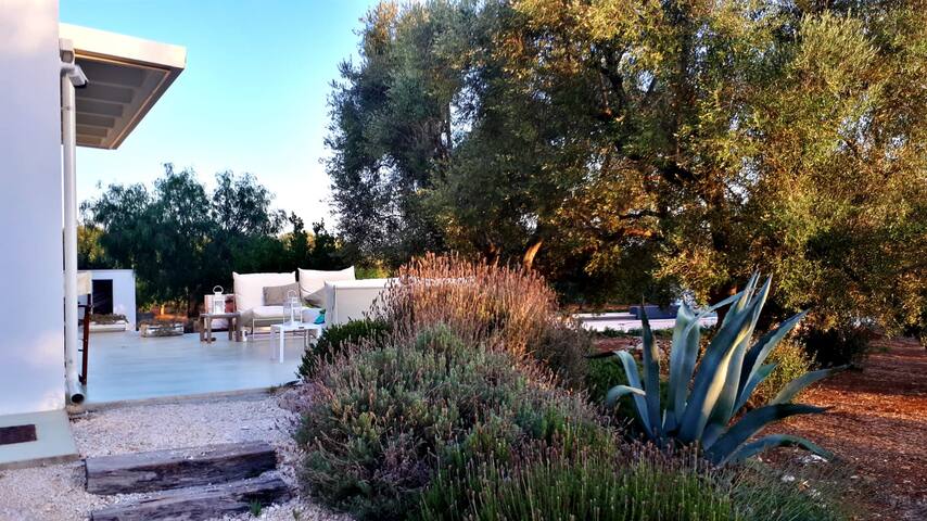 Casa Laura; Villa w saltwater pool, WiFI and AC gallery image 4