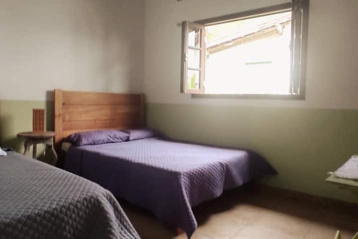 Suite 01