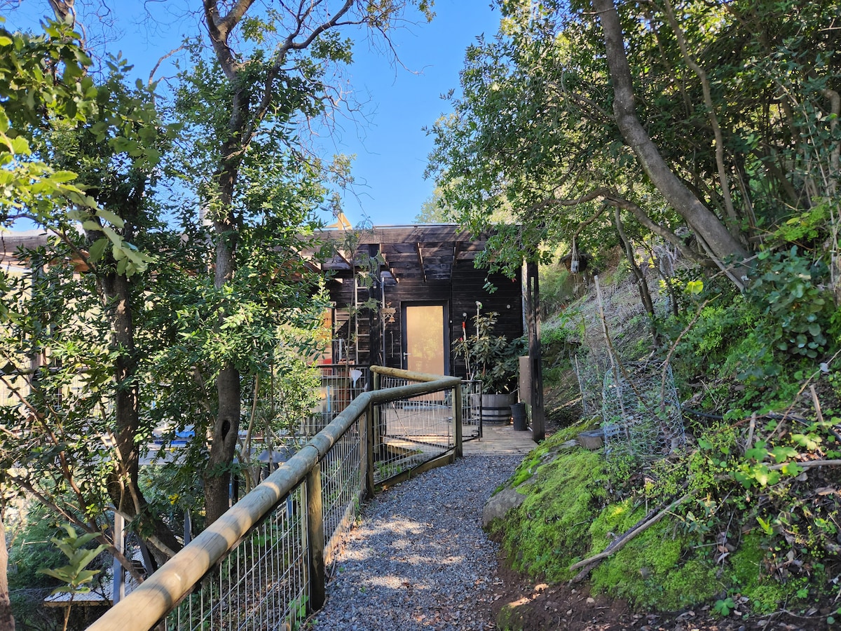 A gravel path leads through lush greenery to a darkly colored house partially hidden among the trees. The entrance is framed by natural elements, with a blend of foliage and small rocks enhancing the serene setting.