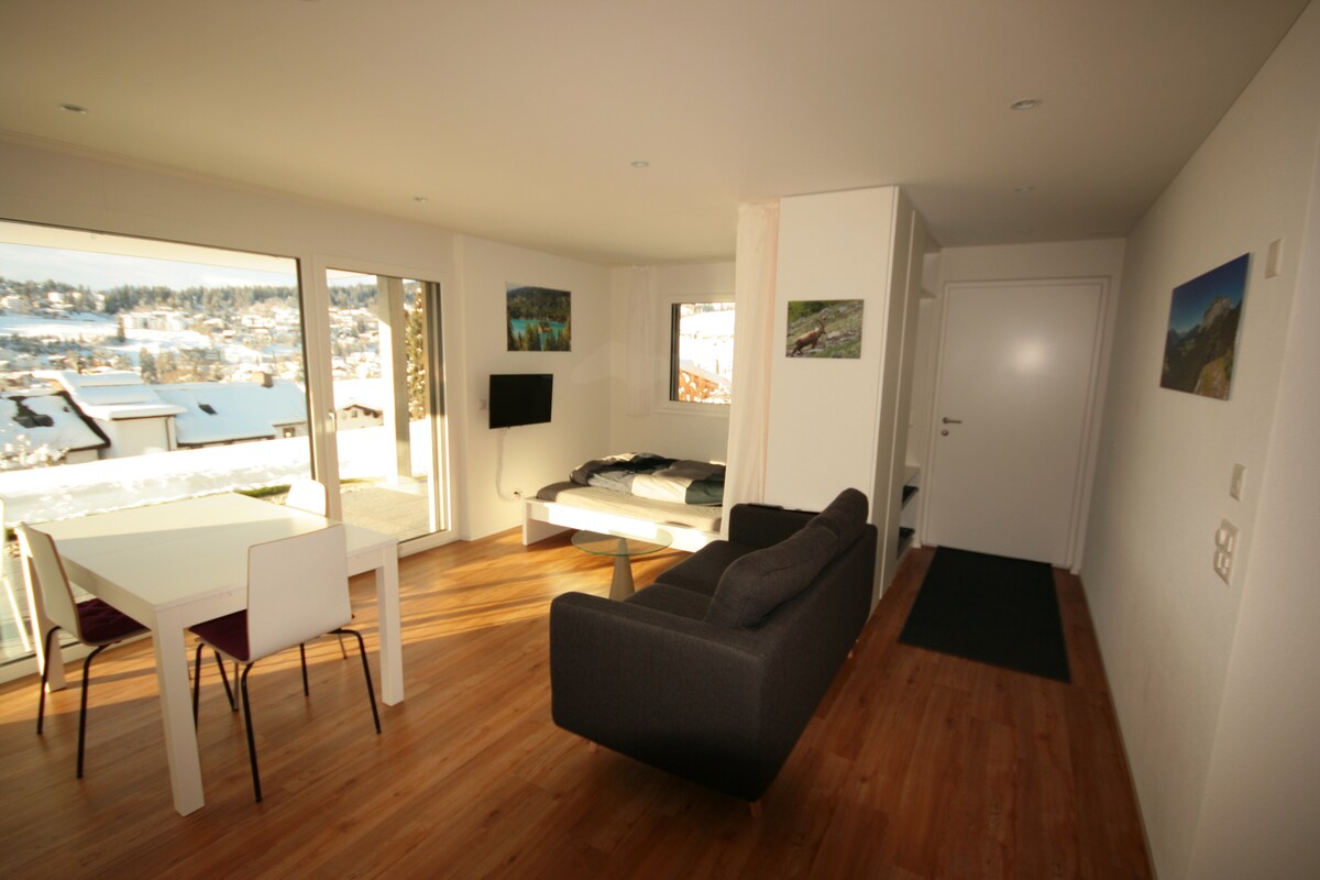 Popular Airbnb listing: Studio Flims in Flims