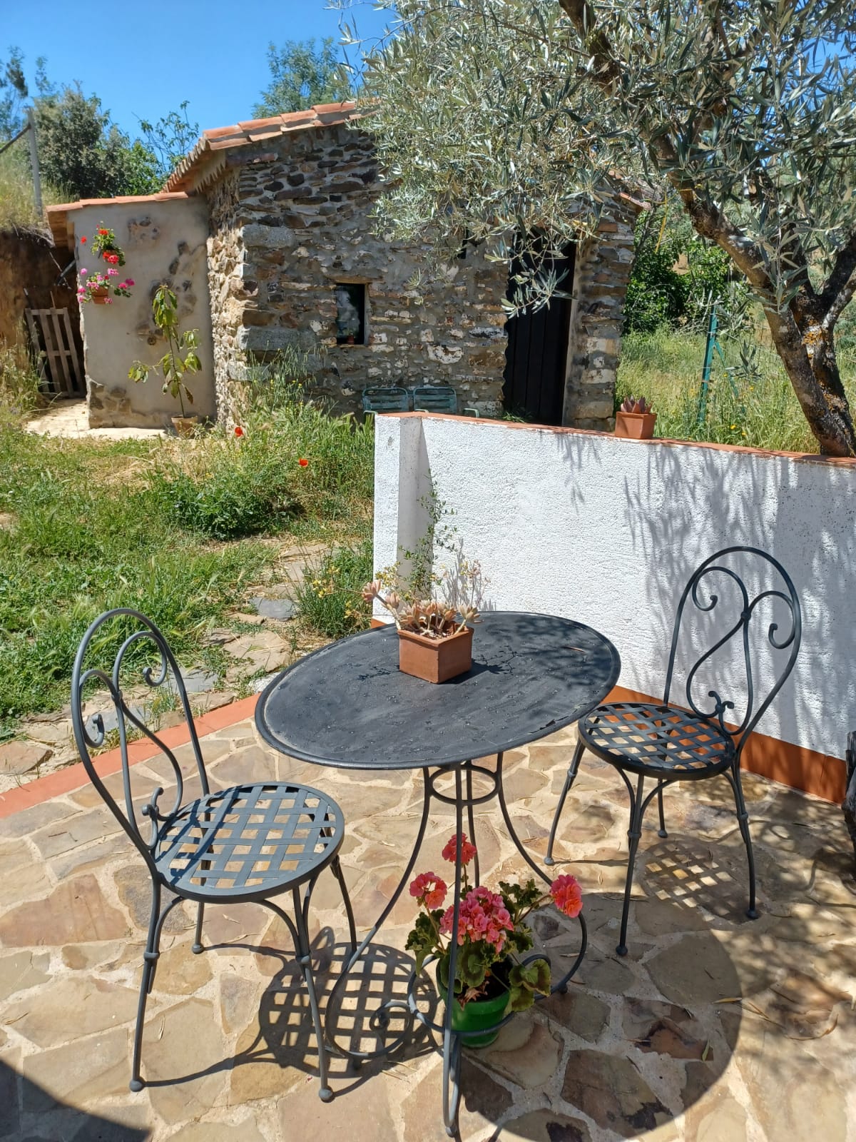 A small outdoor area features a round metal table accompanied by two intricately designed chairs. A potted plant sits at the center of the table, with vibrant flowers adorning the surroundings. The stone pathway leads to a rustic stone building, framed by lush greenery.