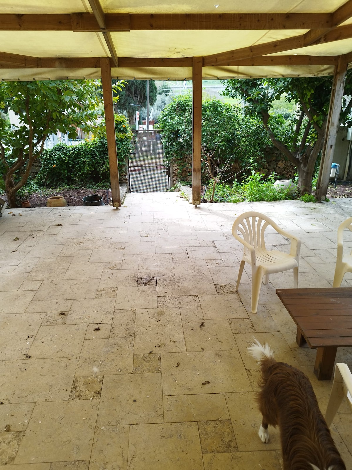 An outdoor patio area is presented with tiled flooring under a shaded pergola. Two white chairs are positioned near a wooden table, surrounded by lush greenery and a pathway leading to a garden space in the background.