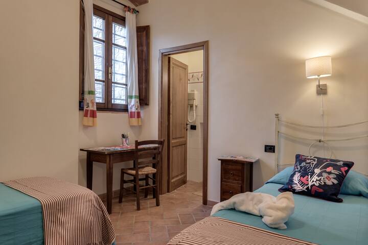 Vitanda viwili vya mtu mmoja na bafu la chumbani