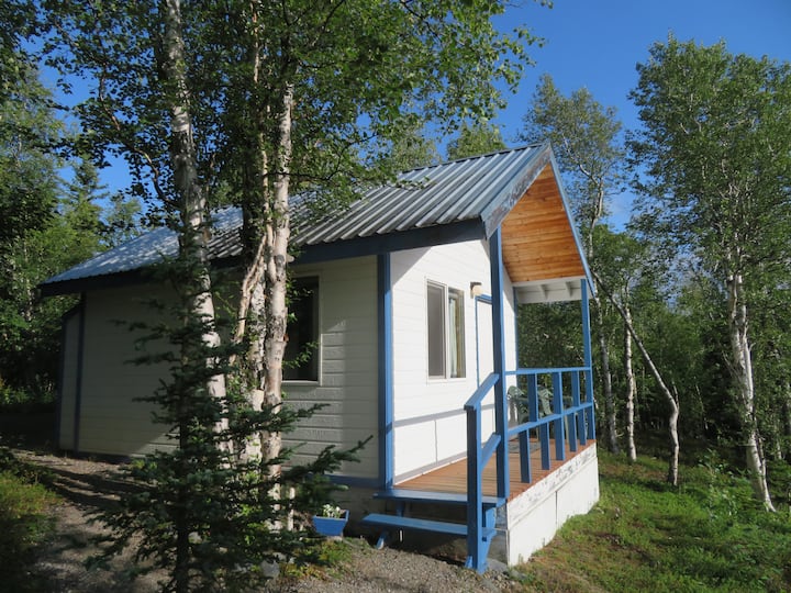 Top 10 Cabin Rentals In Healy, Alaska Updated 2024 Trip101
