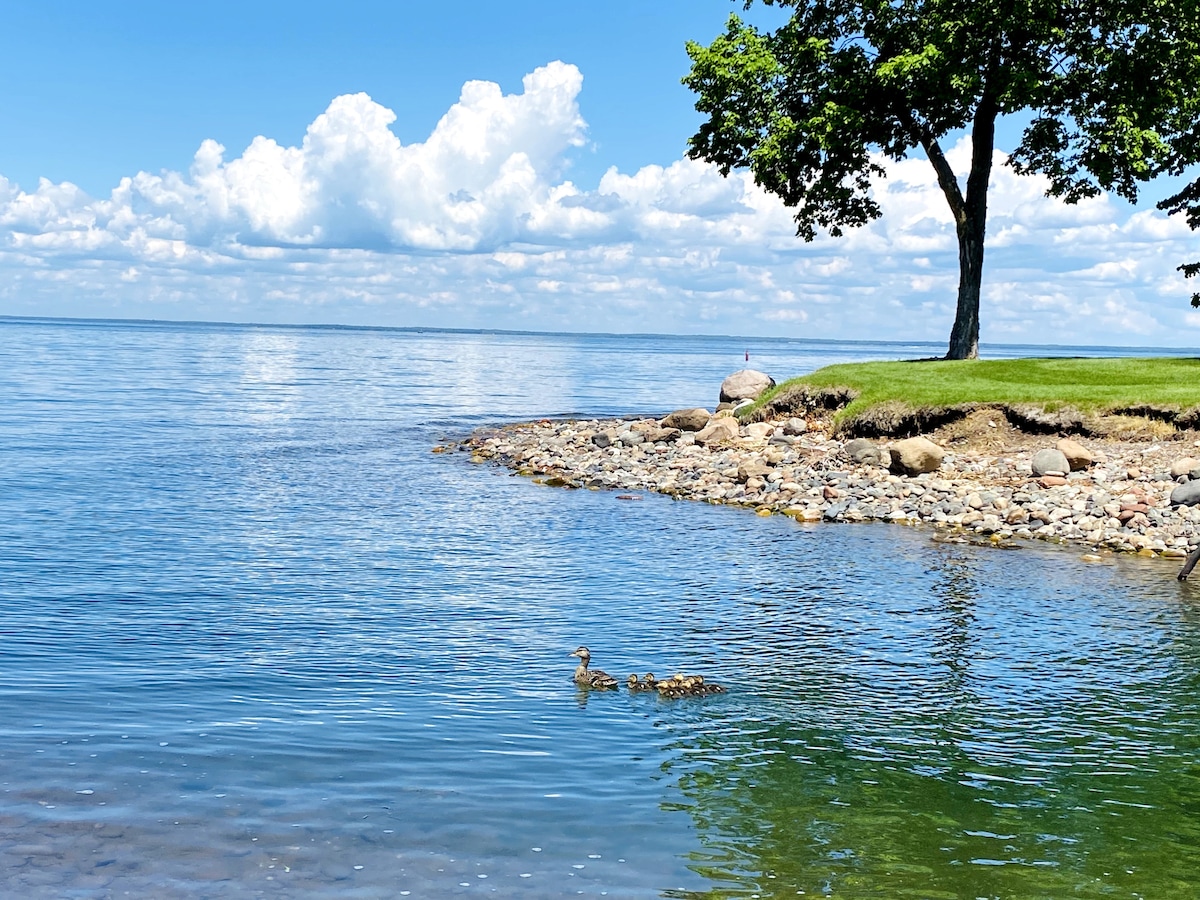 The shoreline features clear blue water gently lapping against smooth stones, with a small group of ducks swimming nearby. A single tree provides shade, and fluffy white clouds drift across a bright blue sky.