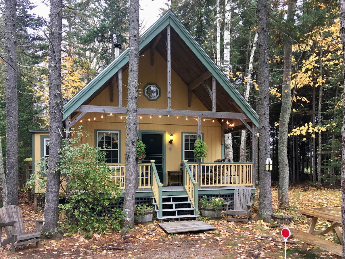 A charming cottage is nestled among tall trees, featuring a welcoming front porch with steps leading to the entrance. Soft outdoor lighting accentuates the property's rustic appeal, while autumn leaves create a colorful backdrop. Adjoining seating areas invite relaxation in the tranquil surroundings.