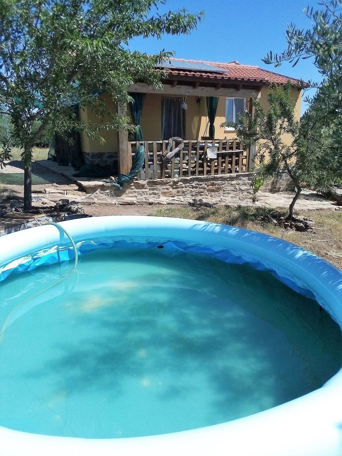 A small, partially above-ground pool is filled with clear water, set in a natural outdoor space. A cozy, rustic house is visible in the background, framed by olive trees and a wooden porch that features a simple railing.