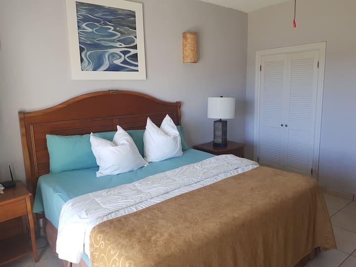 Saint Kitts and Nevis Holiday Rentals & Homes Airbnb