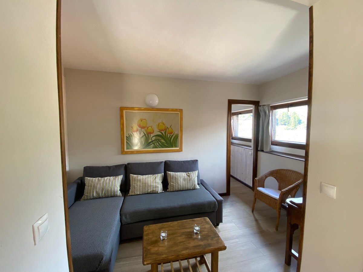 салон и работен простор со поглед на Пикос де Европа