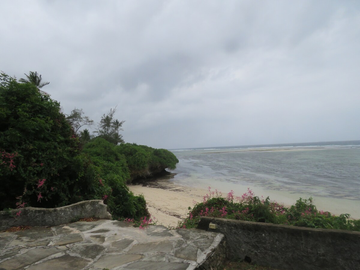 A serene coastal view features sandy shores bordered by lush greenery and flowering plants. The calm waters stretch into the distance, with gentle waves lapping at the beach. Overcast skies create a soft light, enhancing the tranquil atmosphere of this beach setting.