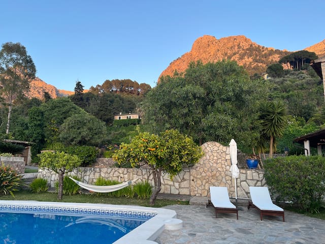 Spacious & Elegant Finca Mallorca gallery image 3