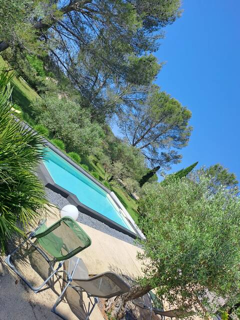 Amazing views of the olive trees!