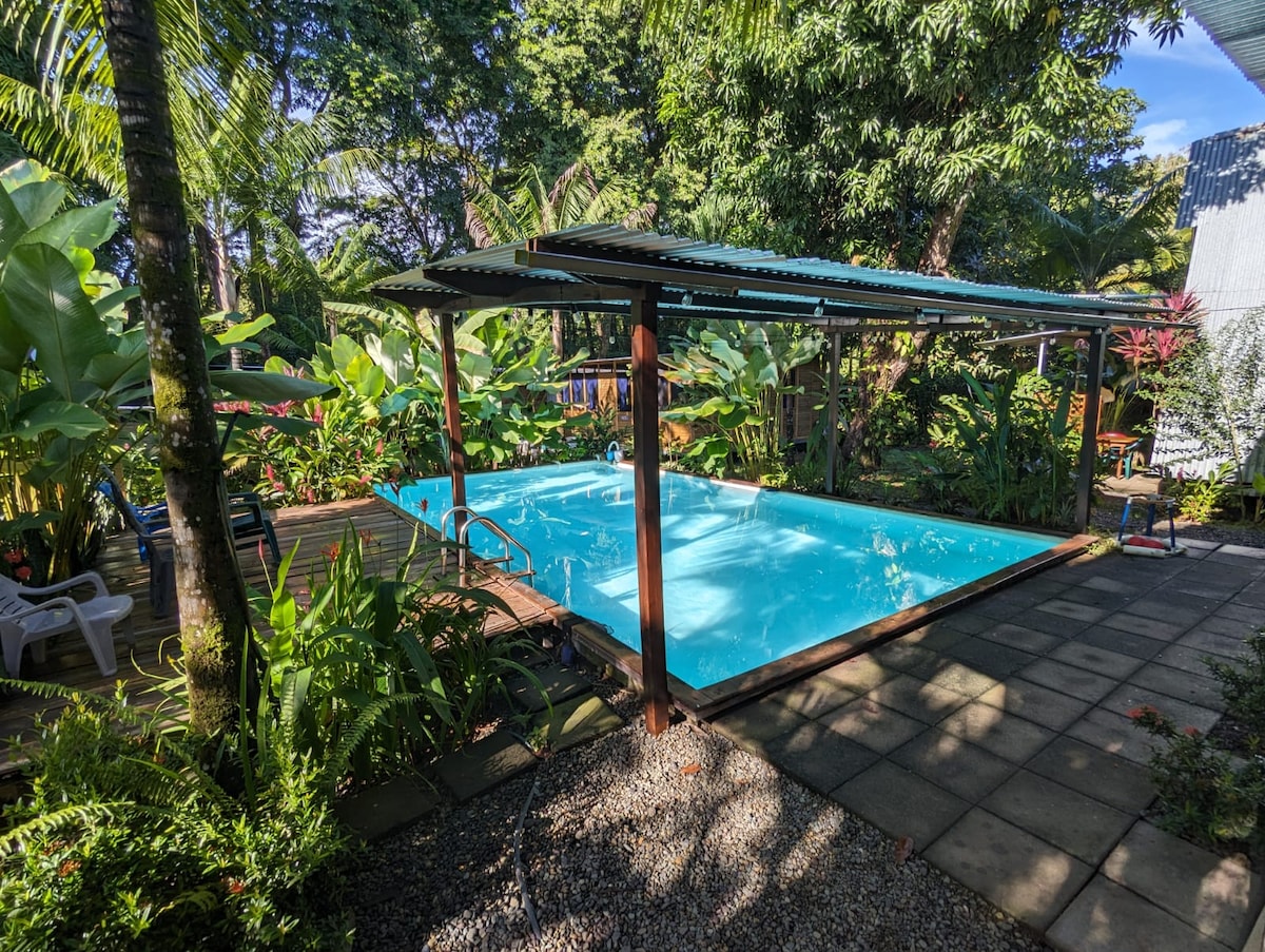 A swimming pool is surrounded by lush tropical foliage and vibrant plants, providing a serene environment. A shaded seating area with a pergola is visible near the pool, creating a relaxed atmosphere close to nature.
