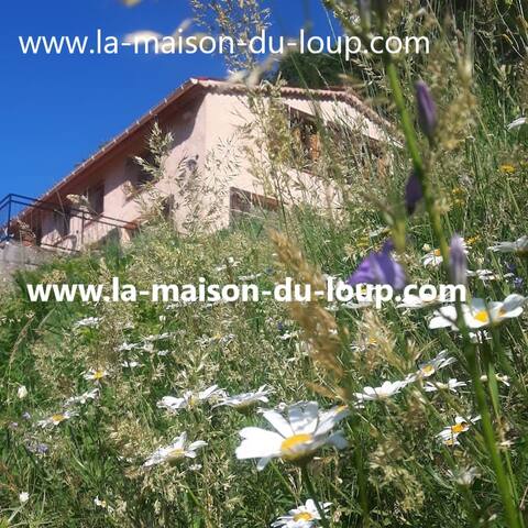 La Maison Du Loup - NEW Christmas Availability