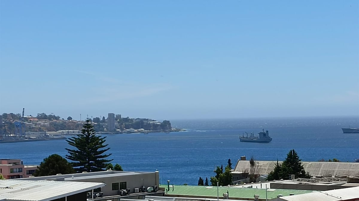 A clear view of the ocean is presented, featuring ships gently sailing across the water. The coastline is visible in the background, complemented by trees and buildings. The scene reflects a calm day with blue skies and tranquil waters.
