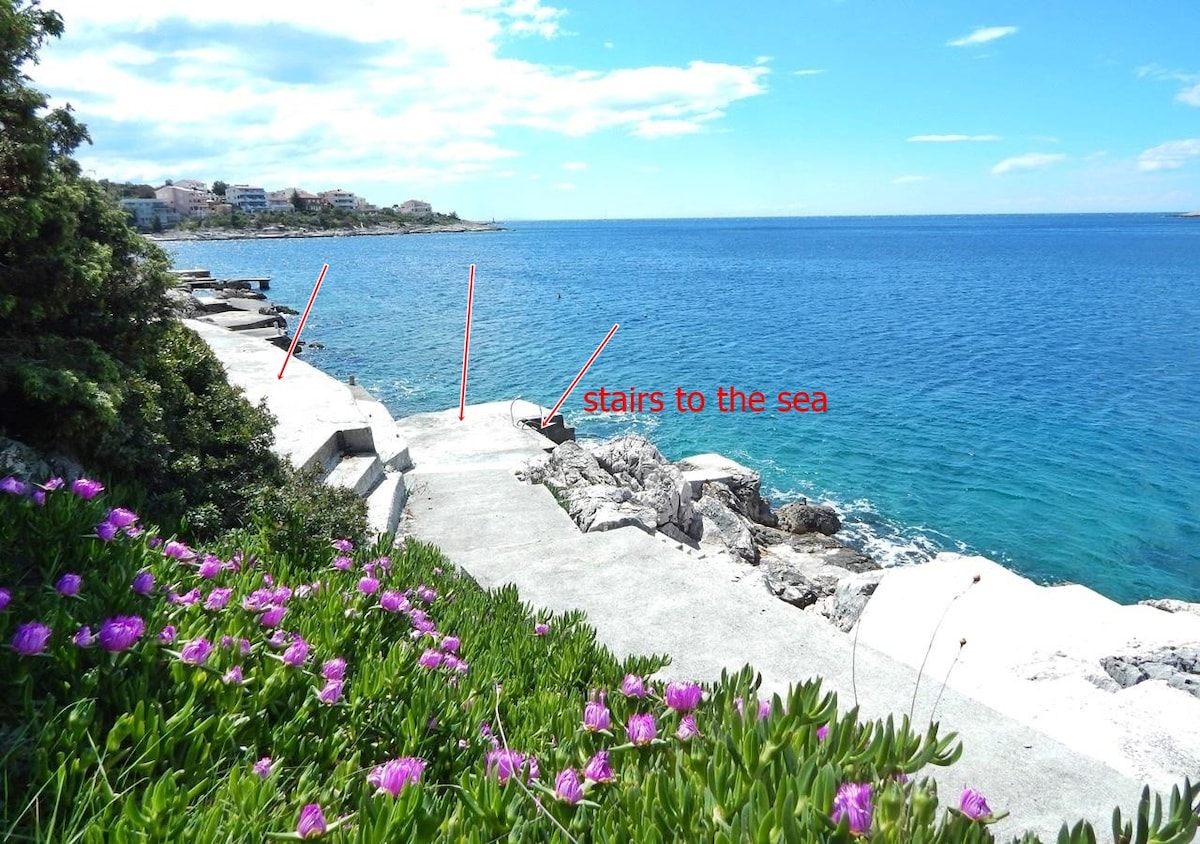The image captures a tranquil waterfront scene with clear blue waters extending to the horizon. Steps leading down to the sea are visible, surrounded by green coastal plants and colorful flowers, enhancing the natural setting.