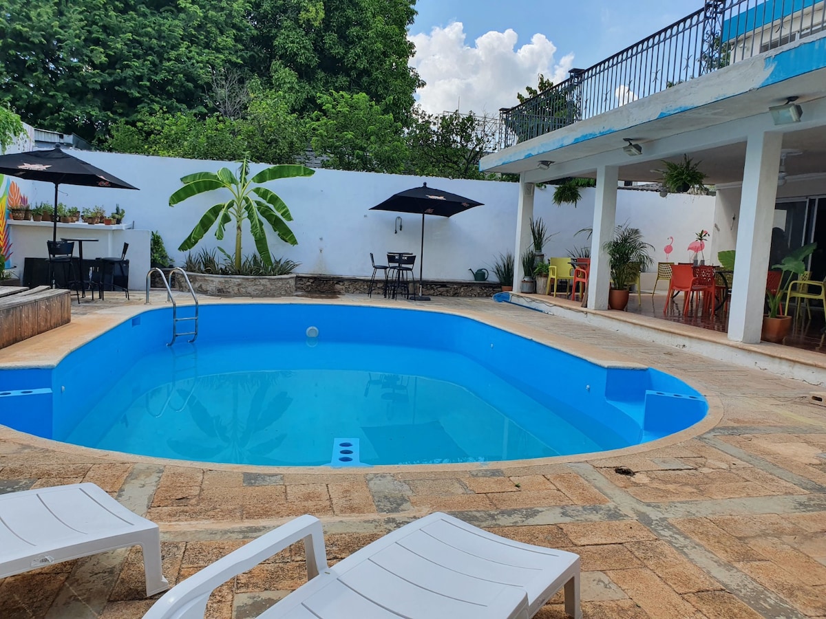 The inviting pool area features a brightly colored pool surrounded by a spacious sun deck. Chairs and umbrellas provide shaded seating options. Lush greenery and decorative plants accent the walls, contributing to a relaxing outdoor environment.