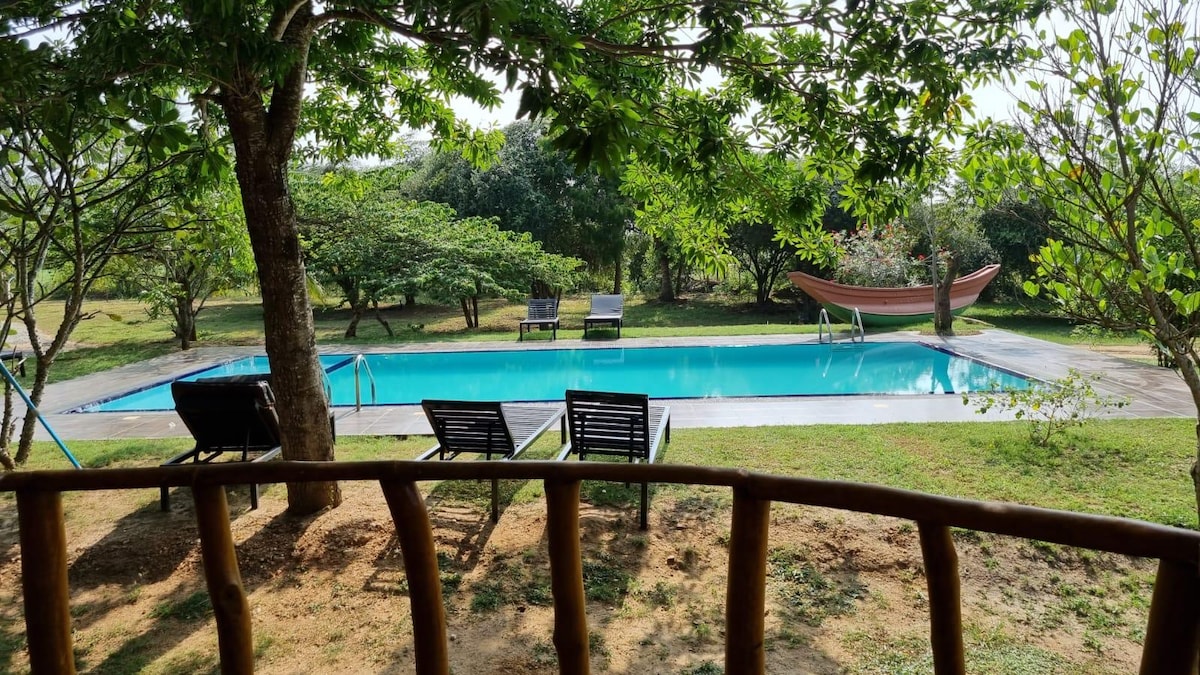 A swimming pool is visible, surrounded by lush greenery and sunlight filtering through the trees. Four lounge chairs are positioned near the water's edge, while a hammock can be seen in the background, inviting relaxation in the peaceful outdoor setting.