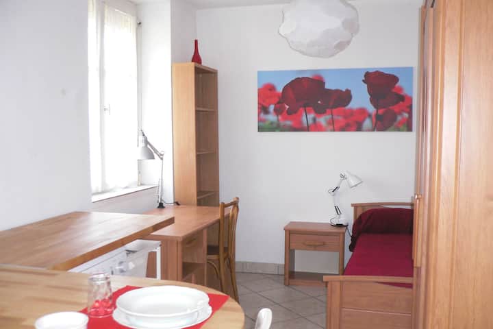Studio Coquelicot, Vue Sur Jardins Lumineux - Villeurbanne